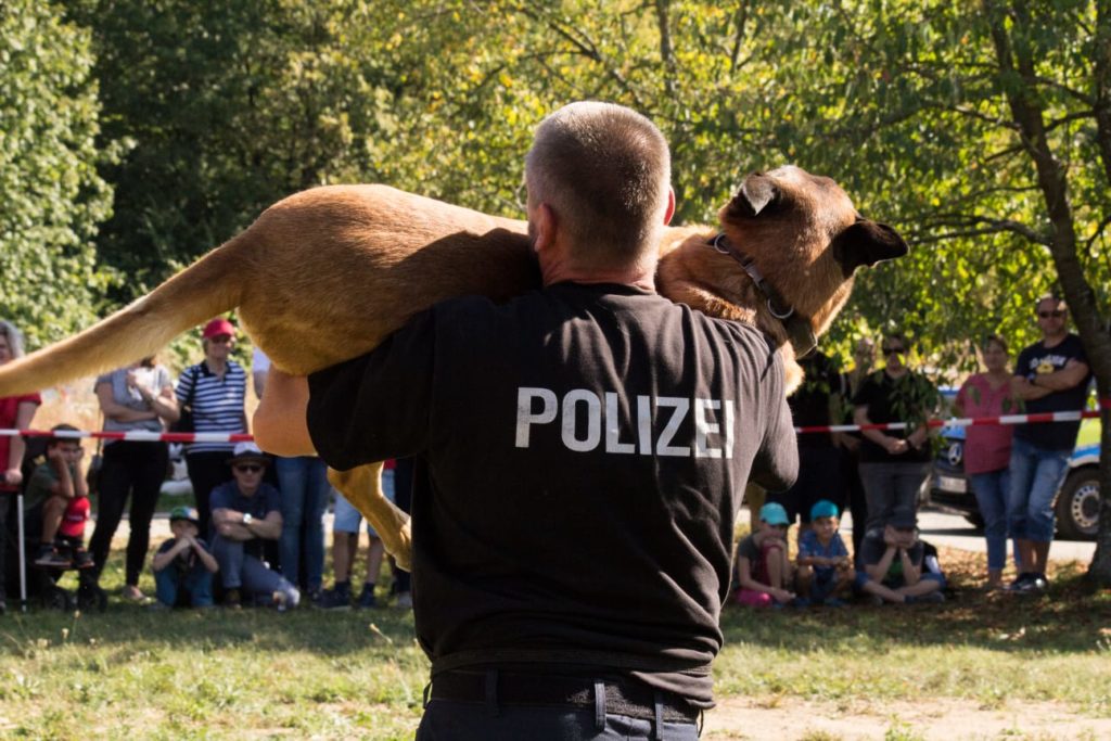 WhatsApp-Image-2019-09-16-at-16.31.54-1-1024x683 Ausbildung + Training