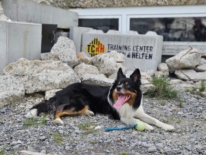 Fortbildung + Weiterbildung