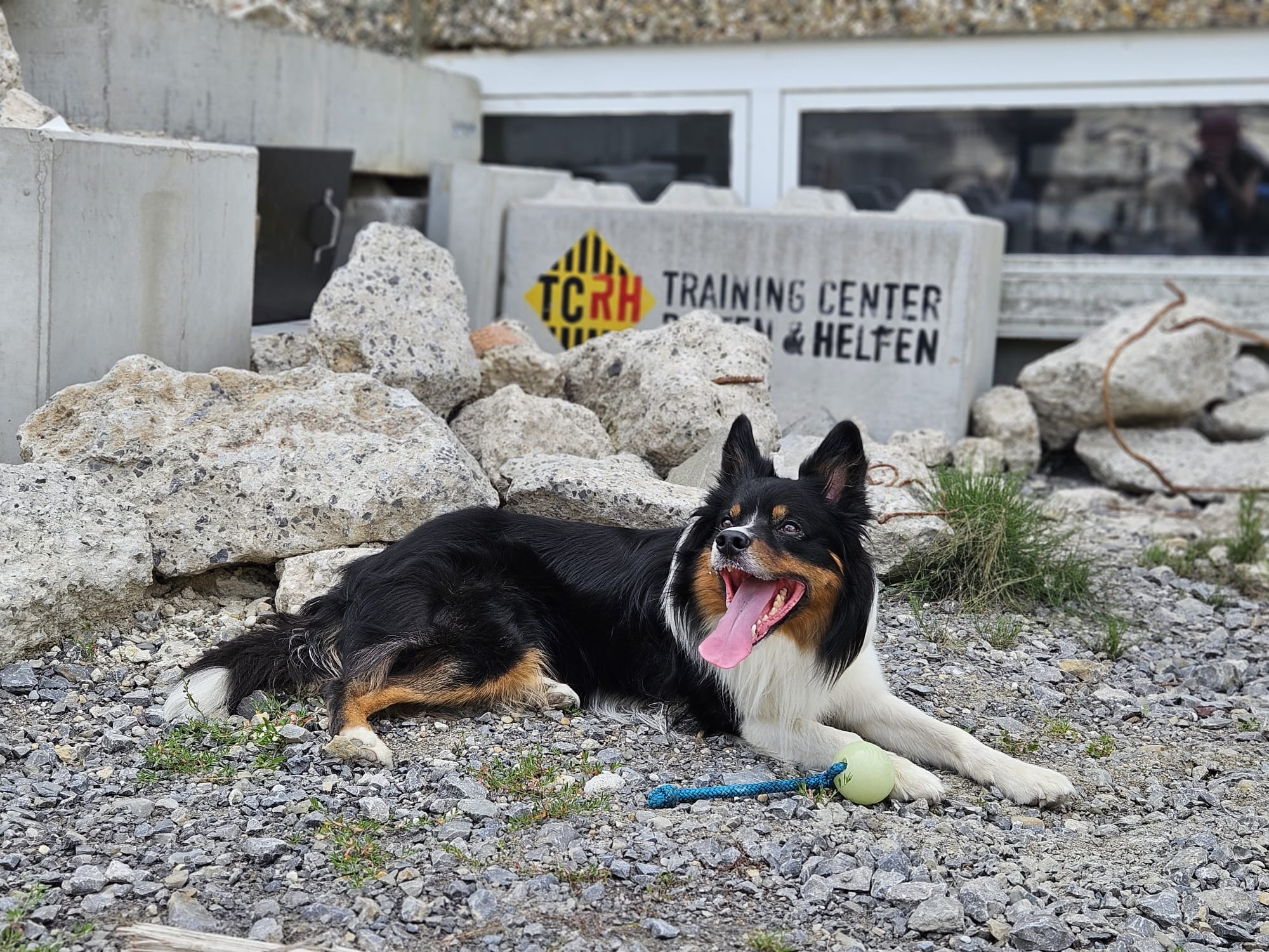 Forschungsprojekt WAUG