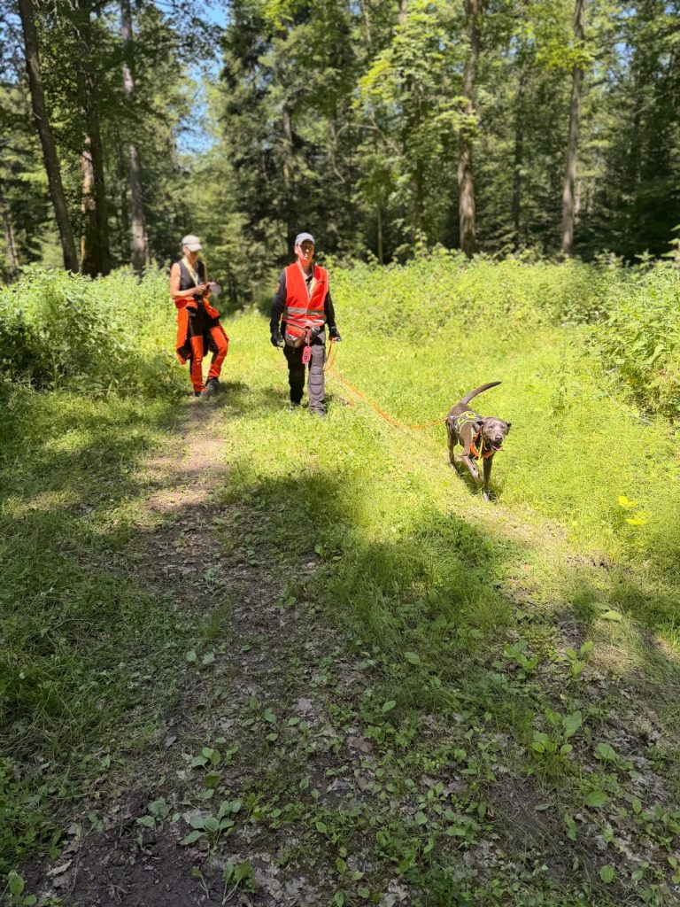 TCRH-ASP-Einsatzuebung-2026-06-20-7-768x1024 Einsatzübung für ASP-Einsatzkräfte